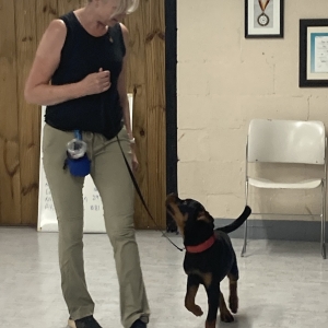 puptrainpersonal
