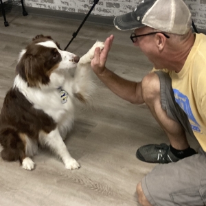 lucyhi5